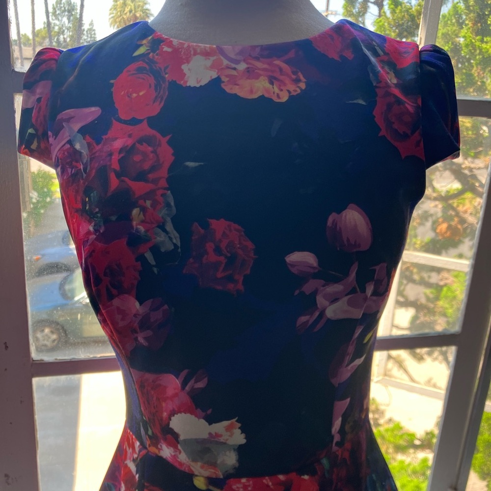 Betsey Johnson Navy and Red Floral Dress